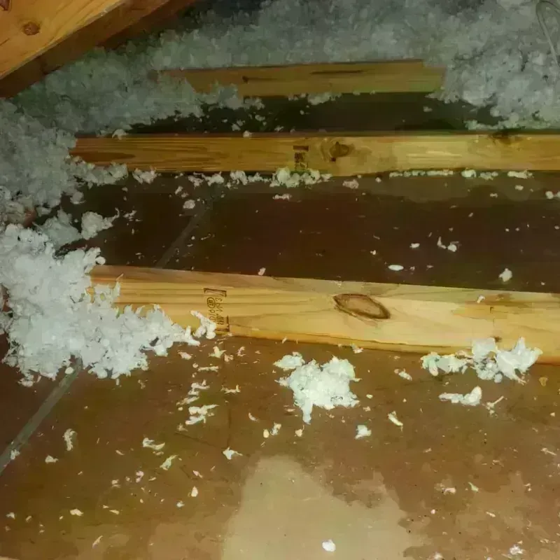 Attic Water Damage in Ardmore, TN